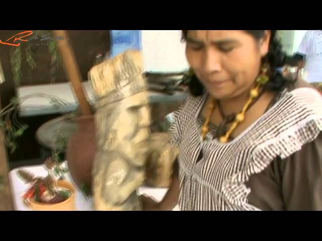 Flores de colorín: un guiso prehispánico de amor y esperanza