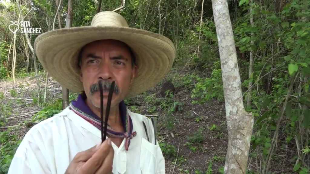 La vainilla, dulce tradición