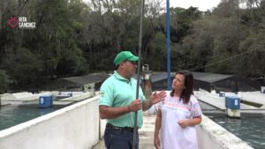 Criadero de trucha en el parque ecoturístico San Miguel